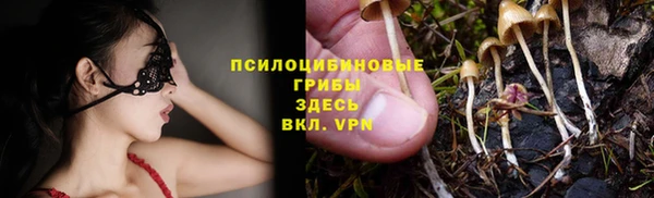 МДПВ Абаза