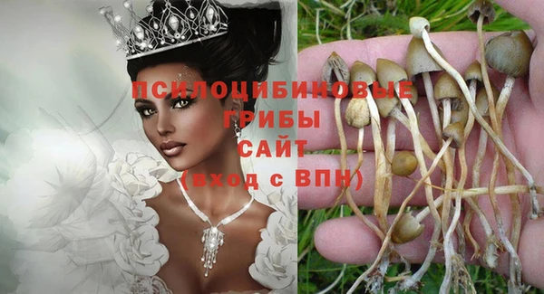 МДПВ Абаза