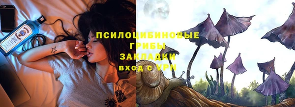 МДПВ Абаза