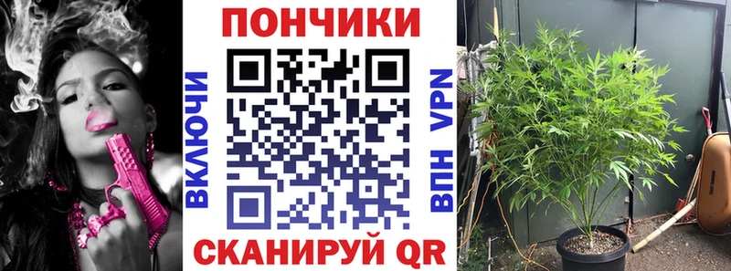 цены   мега вход  Каннабис Bruce Banner  Щёлково 